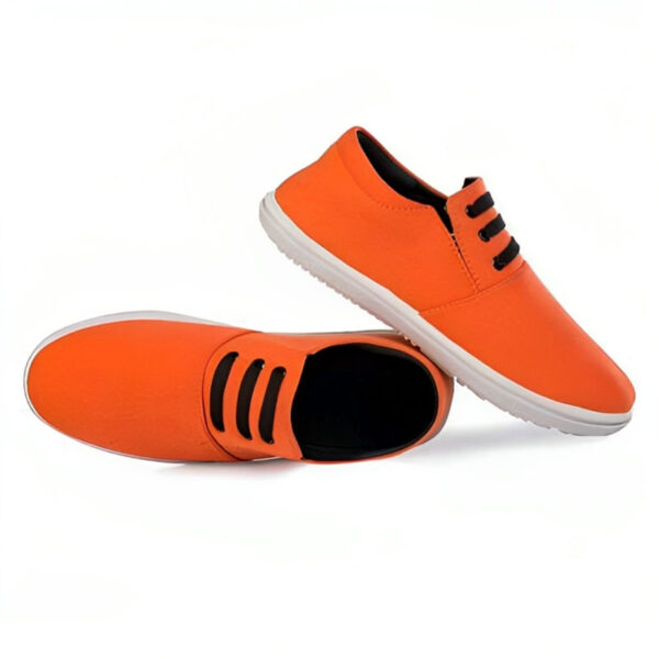 Mens Canvas Shoes