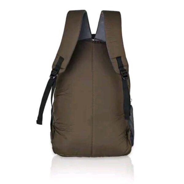 Laptop Backpack for Men (brown)